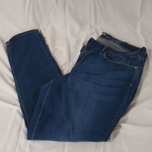 Denizen Levi Jeans